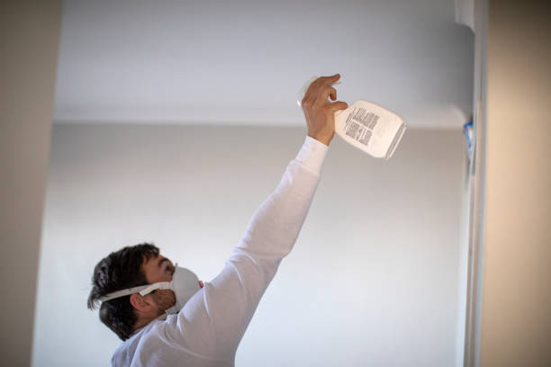 Best Mold Removal Specialists  in Russellville, AL