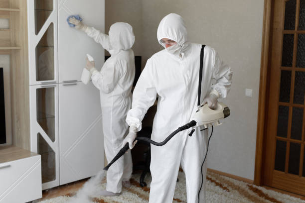 Best Best Mold Removal Companies  in Russellville, AL