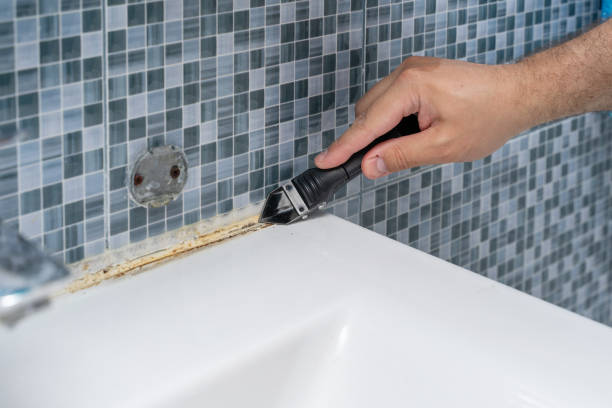 Best Mold Remediation  in Russellville, AL